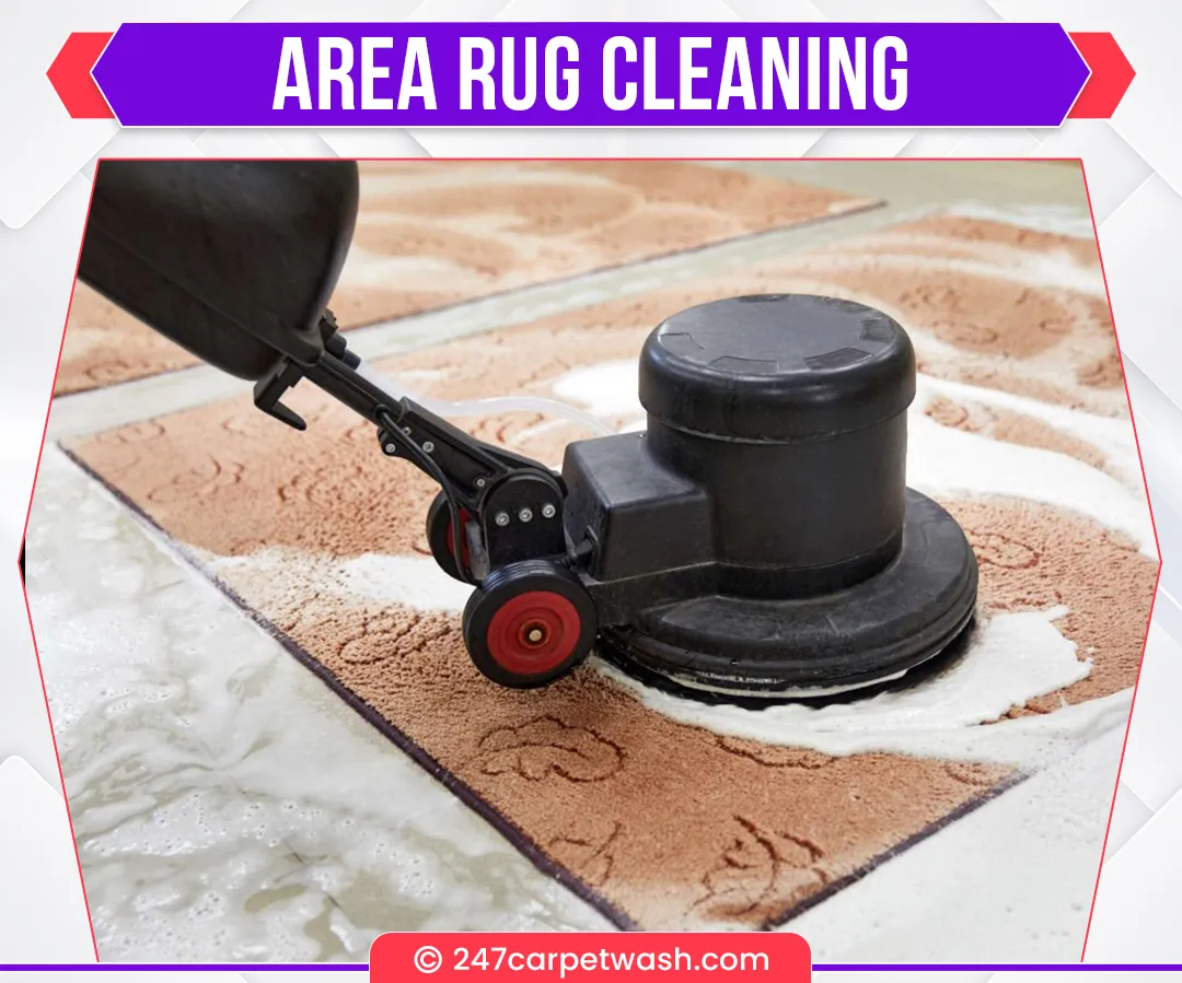 carpet cleaners in Brooklyn, carpet cleaning in Brooklyn, carpet cleaning bkln, carpet cleaners in brooklyn,  commercial carpet cleaning, commercial carpet cleaning in brooklyn,carpet cleaning in brooklyn,  brooklyn rug cleaners, rug cleaning services in brooklyn, same day carpet cleaning, same day rug cleaning