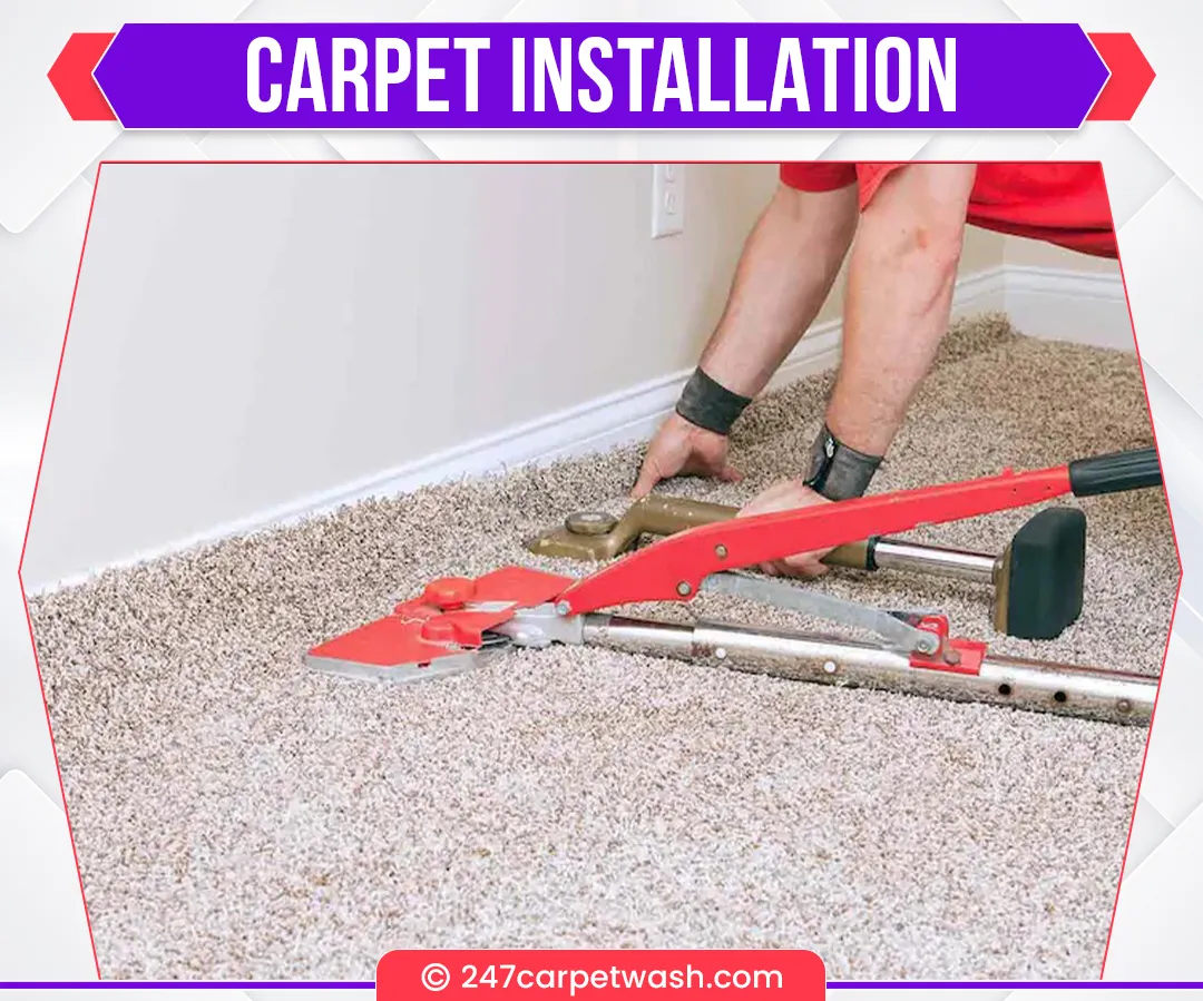 carpet cleaners in Brooklyn, carpet cleaning in Brooklyn, carpet cleaning bkln, carpet cleaners in brooklyn,  commercial carpet cleaning, commercial carpet cleaning in brooklyn,carpet cleaning in brooklyn,  brooklyn rug cleaners, rug cleaning services in brooklyn, same day carpet cleaning, same day rug cleaning